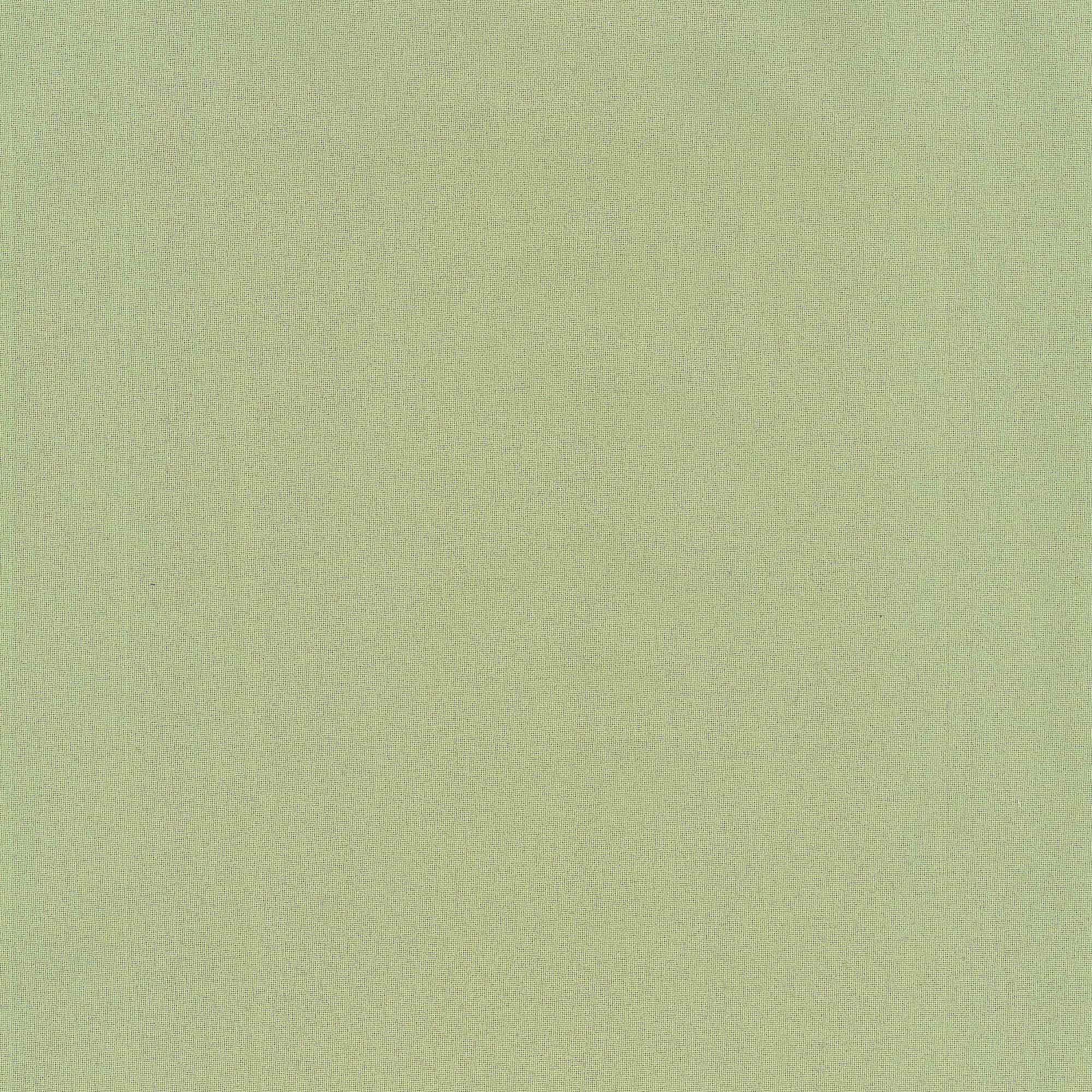 Webstoff Fehmarn Uni pastellgrün